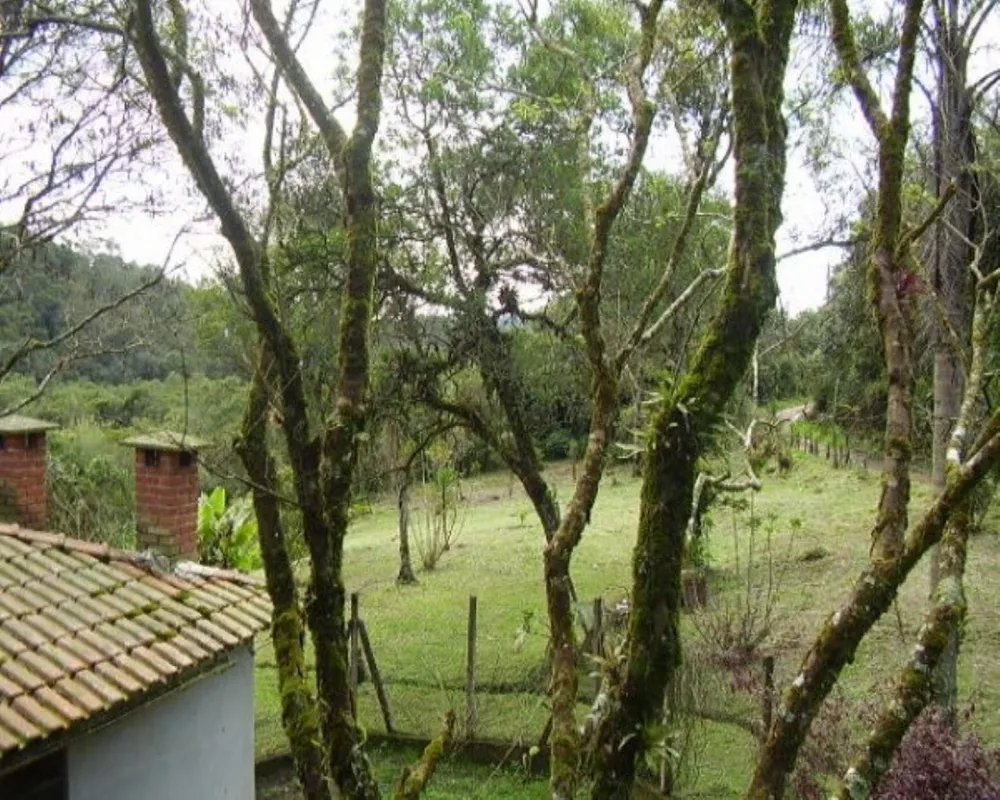 Sítio, 4 quartos, 5 hectares - Foto 3