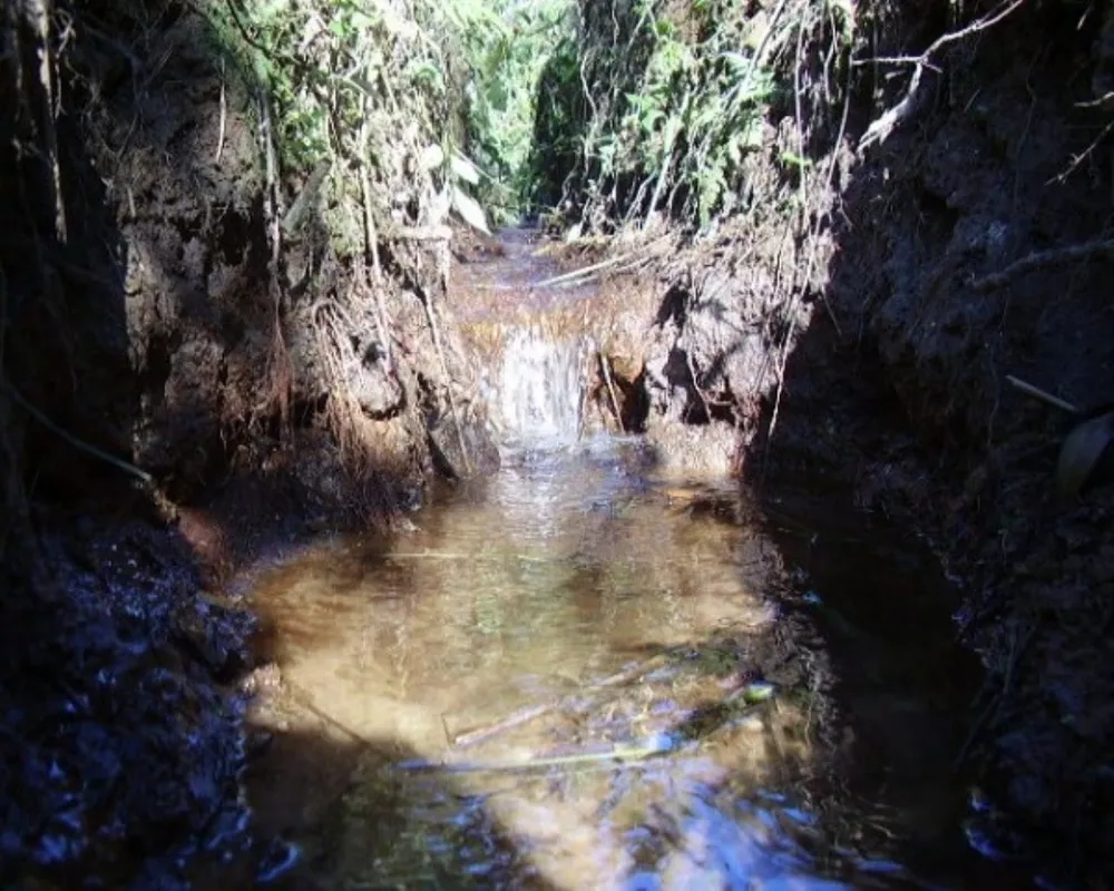 Sítio, 4 quartos, 5 hectares - Foto 11