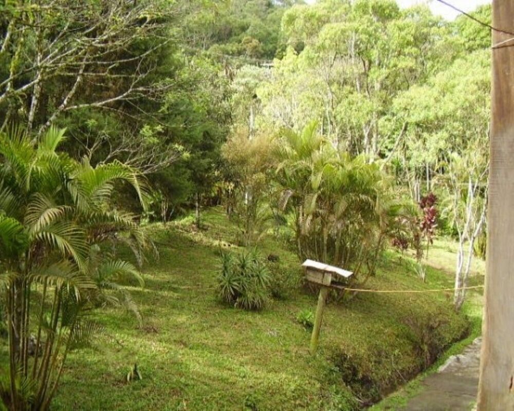 Sítio, 4 quartos, 5 hectares - Foto 8