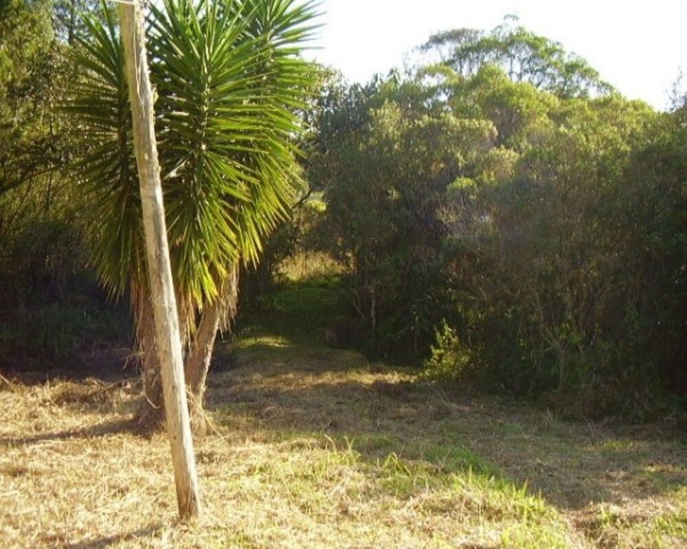 Sítio, 4 quartos, 5 hectares - Foto 2