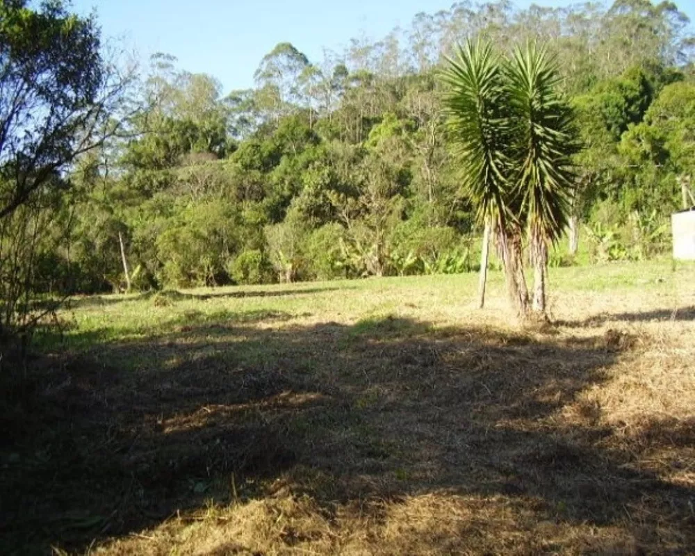 Sítio, 4 quartos, 5 hectares - Foto 4