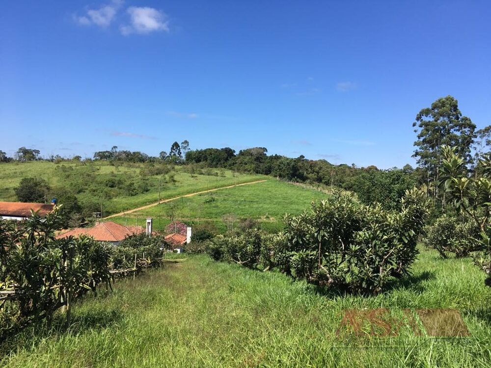 Sítio, 3 quartos, 200 m² - Foto 8