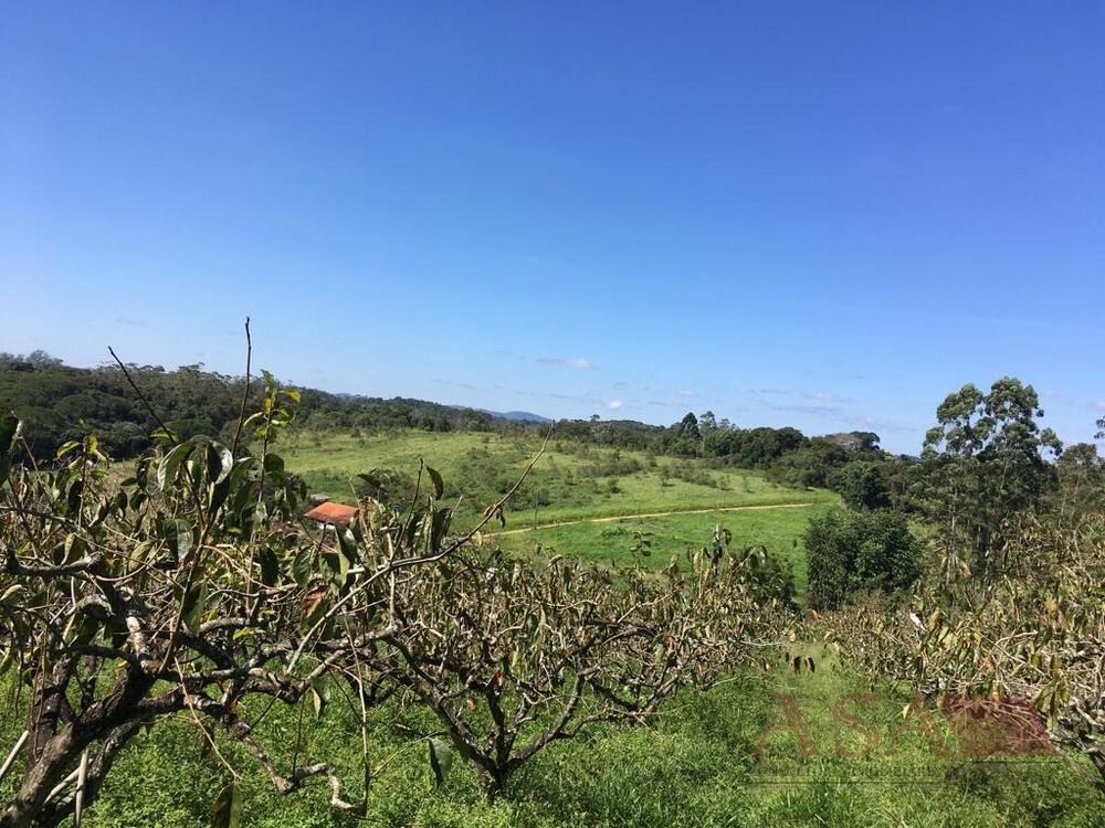 Sítio, 3 quartos, 200 m² - Foto 6