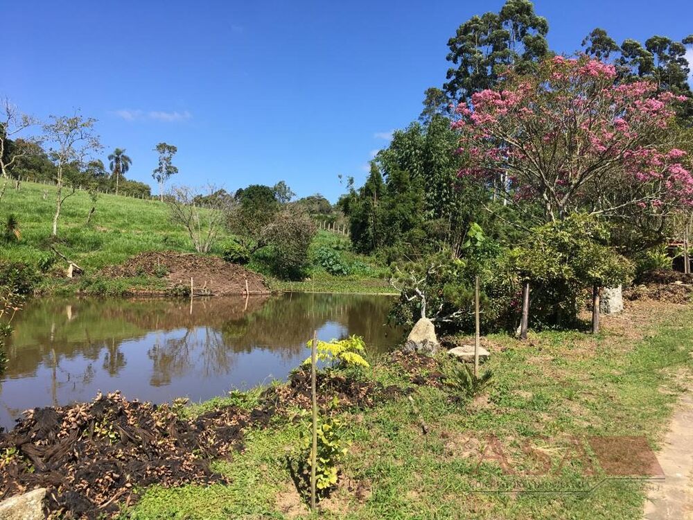 Sítio, 3 quartos, 200 m² - Foto 5