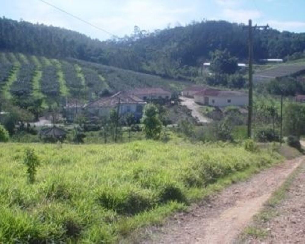 Sítio, 3 quartos, 200 m² - Foto 1