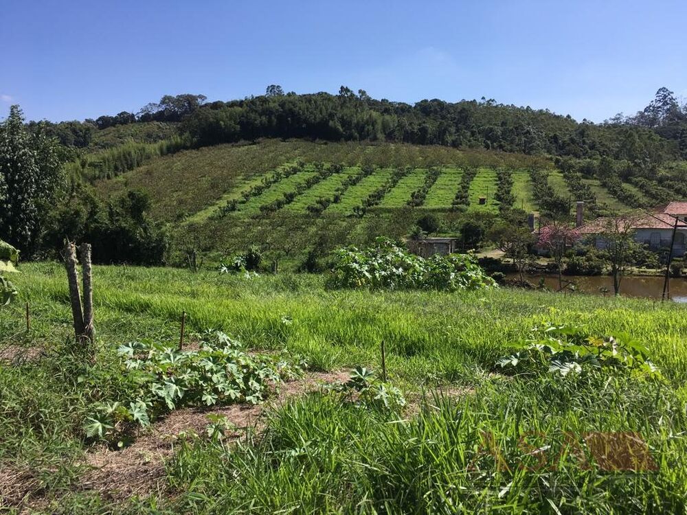 Sítio, 3 quartos, 200 m² - Foto 7