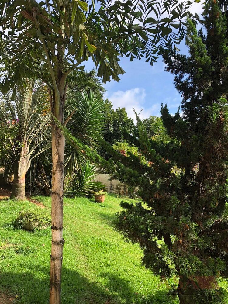 Sítio, 2 quartos, 1700 m² - Foto 2