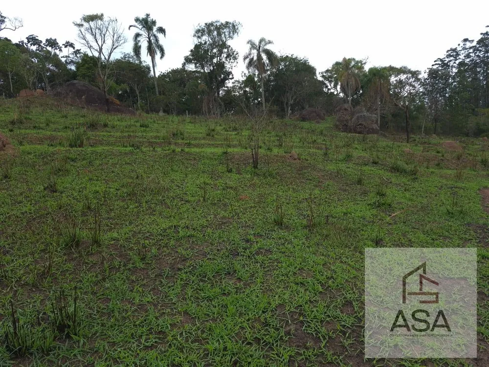 Fazenda, 21 hectares - Foto 7