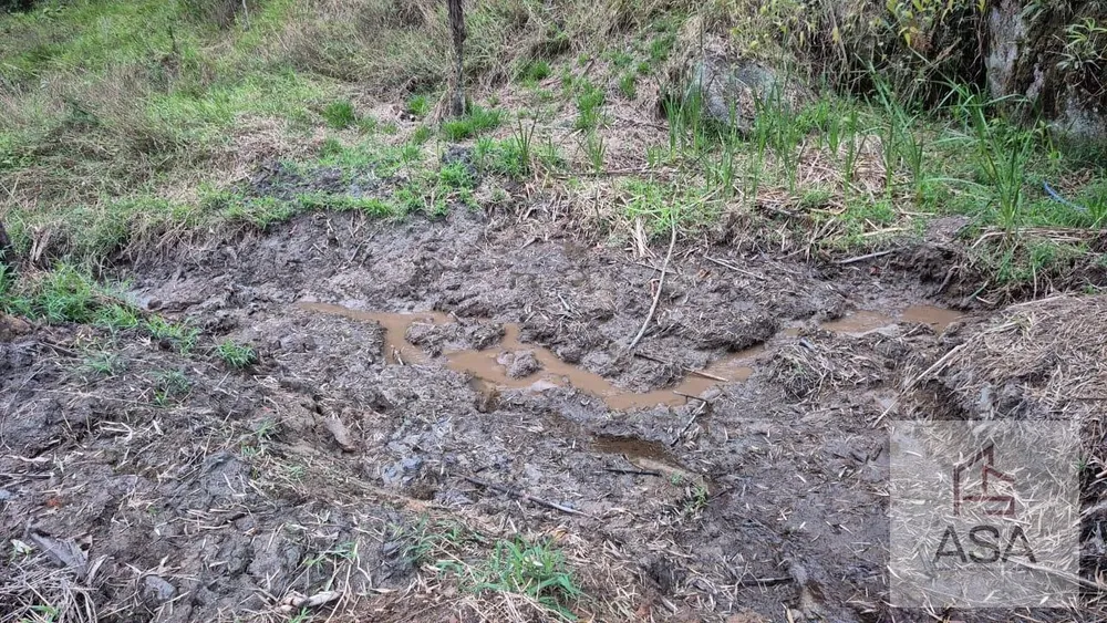Fazenda, 21 hectares - Foto 14
