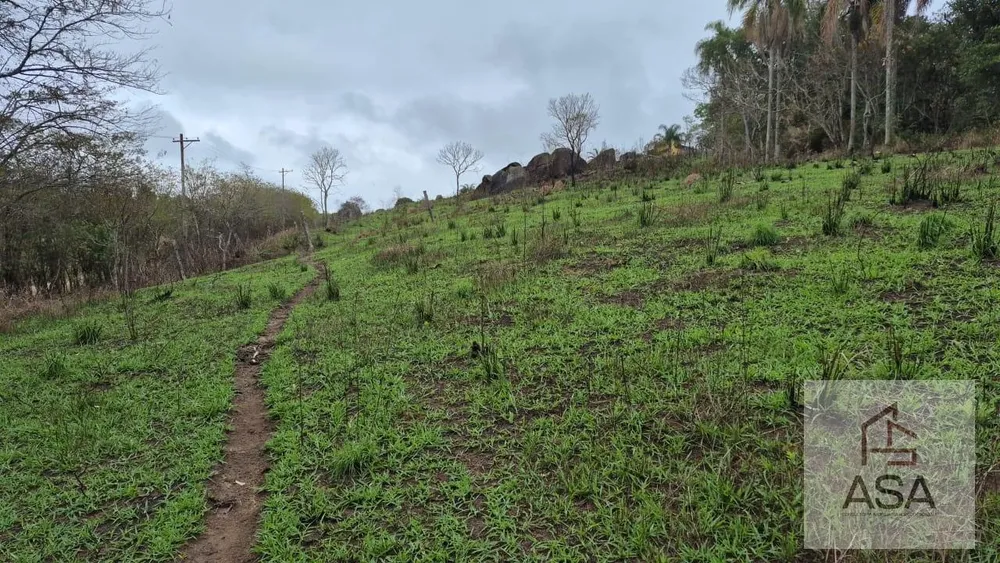 Fazenda, 21 hectares - Foto 4