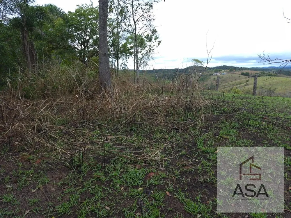 Fazenda, 21 hectares - Foto 12