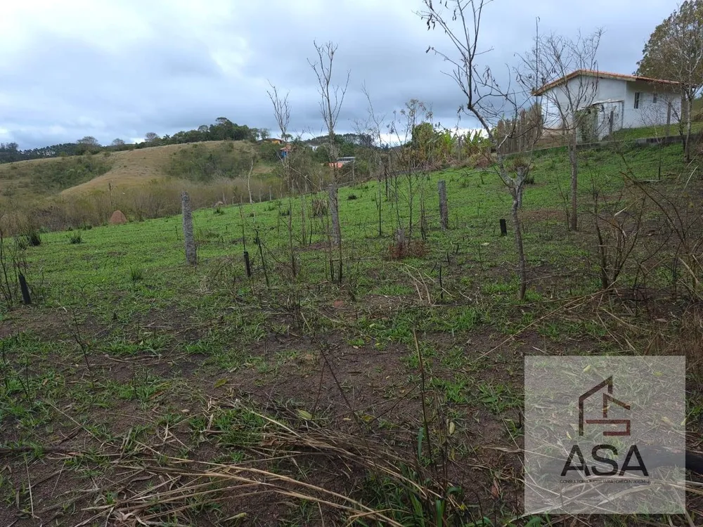 Fazenda, 21 hectares - Foto 11