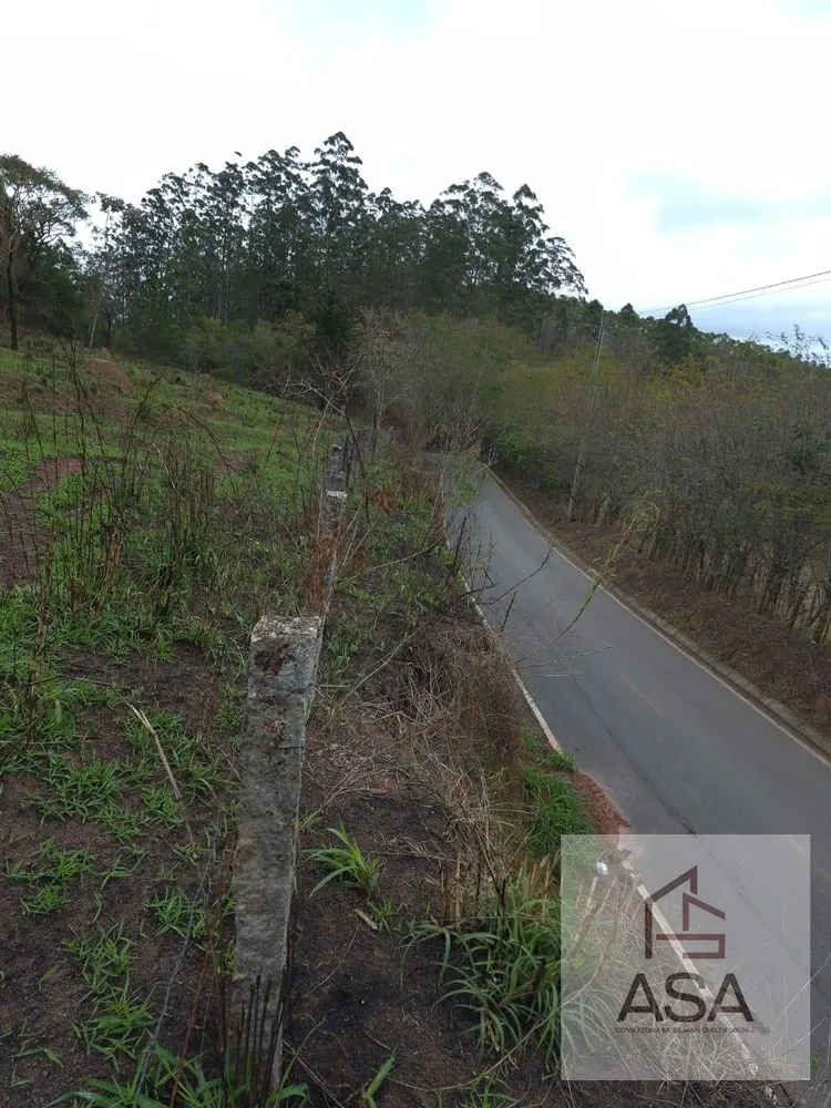 Fazenda, 21 hectares - Foto 3
