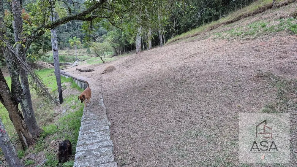 Fazenda, 21 hectares - Foto 4