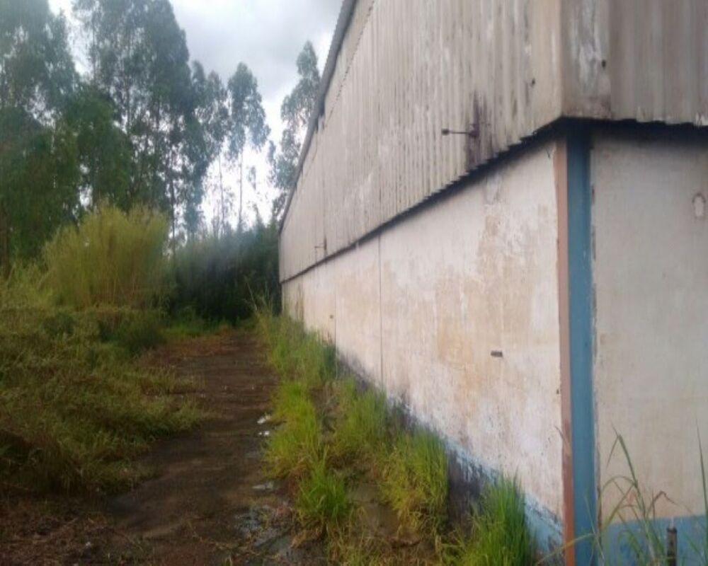 Depósito-Galpão-Armazém à venda, 1350m² - Foto 3