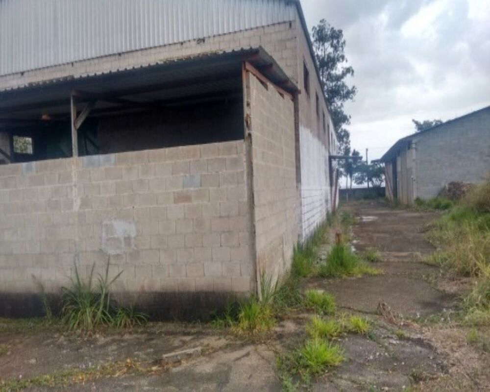 Depósito-Galpão-Armazém à venda, 1350m² - Foto 4