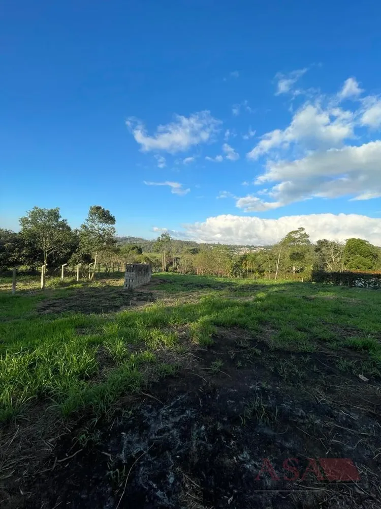 Terreno, 4200 m² - Foto 6
