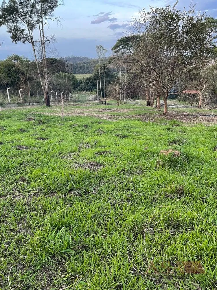 Terreno, 4200 m² - Foto 4