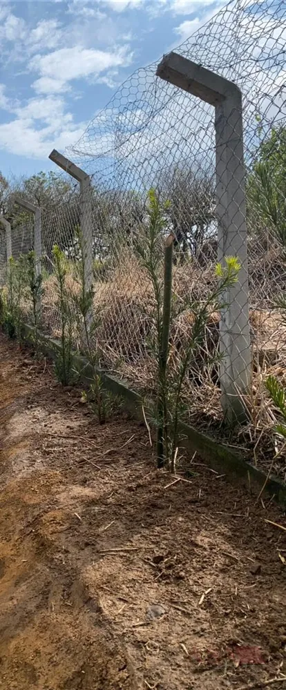 Terreno, 4200 m² - Foto 12