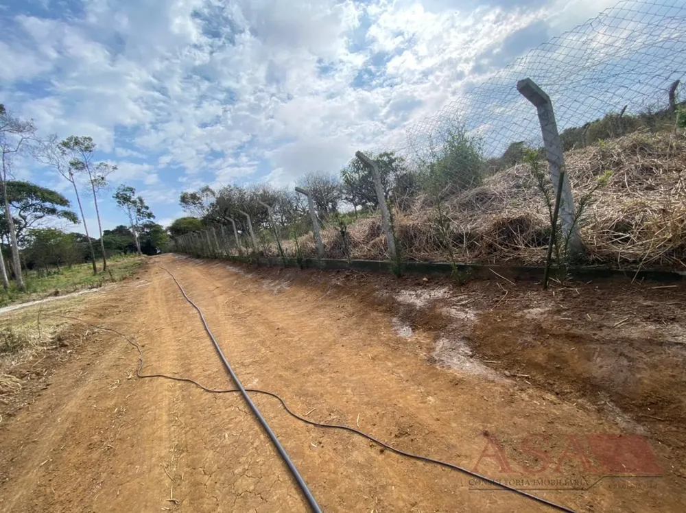Terreno, 4200 m² - Foto 17