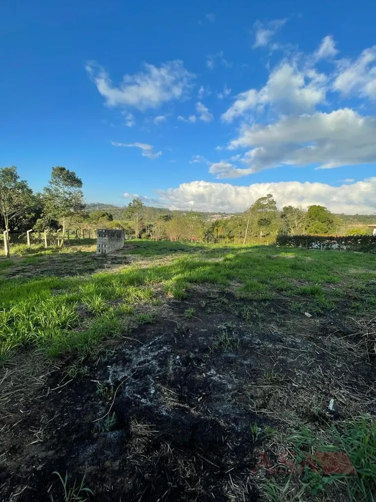 Terreno, 4200 m² - Foto 1
