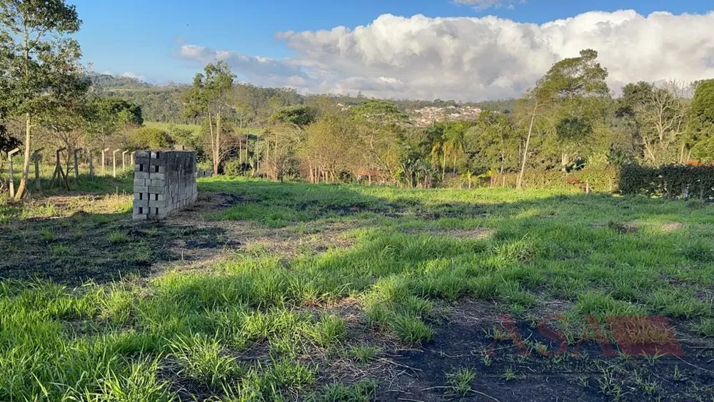 Terreno, 4200 m² - Foto 2