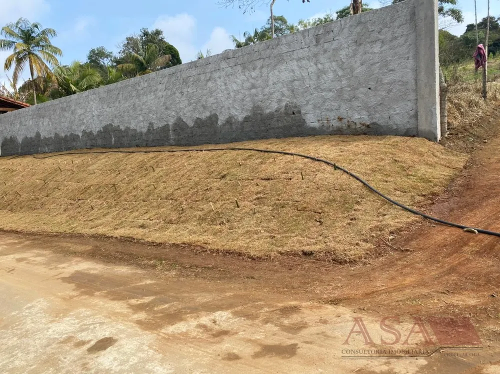 Terreno, 4200 m² - Foto 14