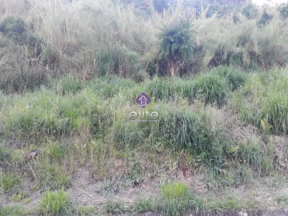 Terreno, 3200 m² - Foto 4