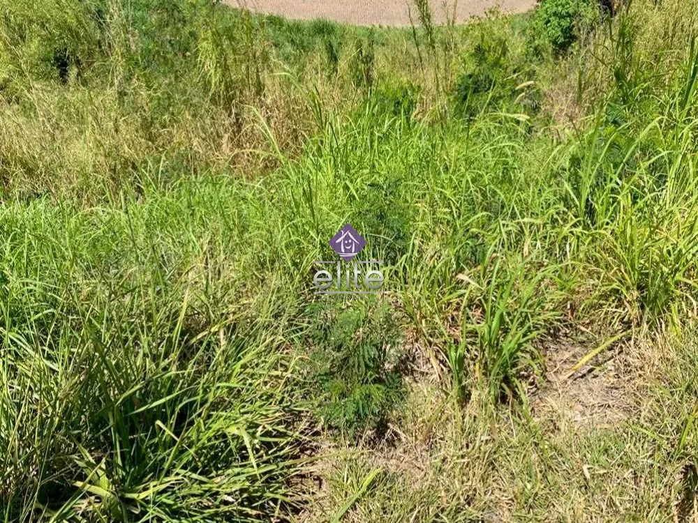 Terreno, 3200 m² - Foto 2