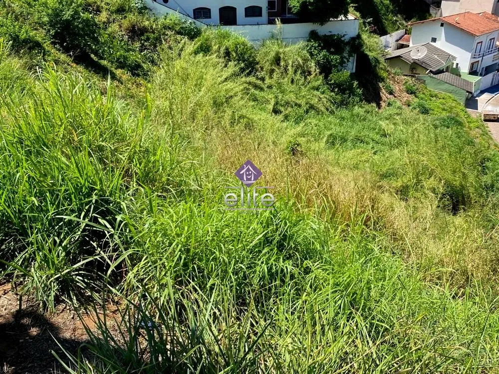 Terreno, 3200 m² - Foto 3