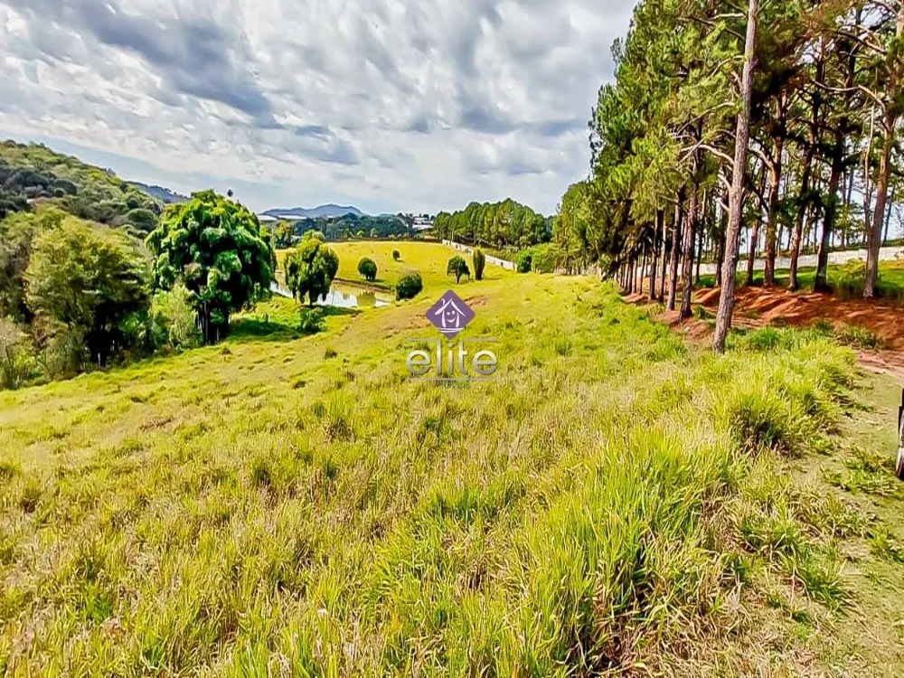 Terreno - Foto 2