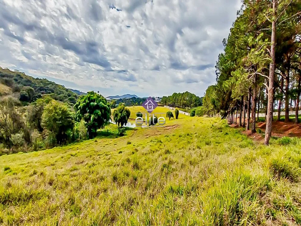 Terreno - Foto 1