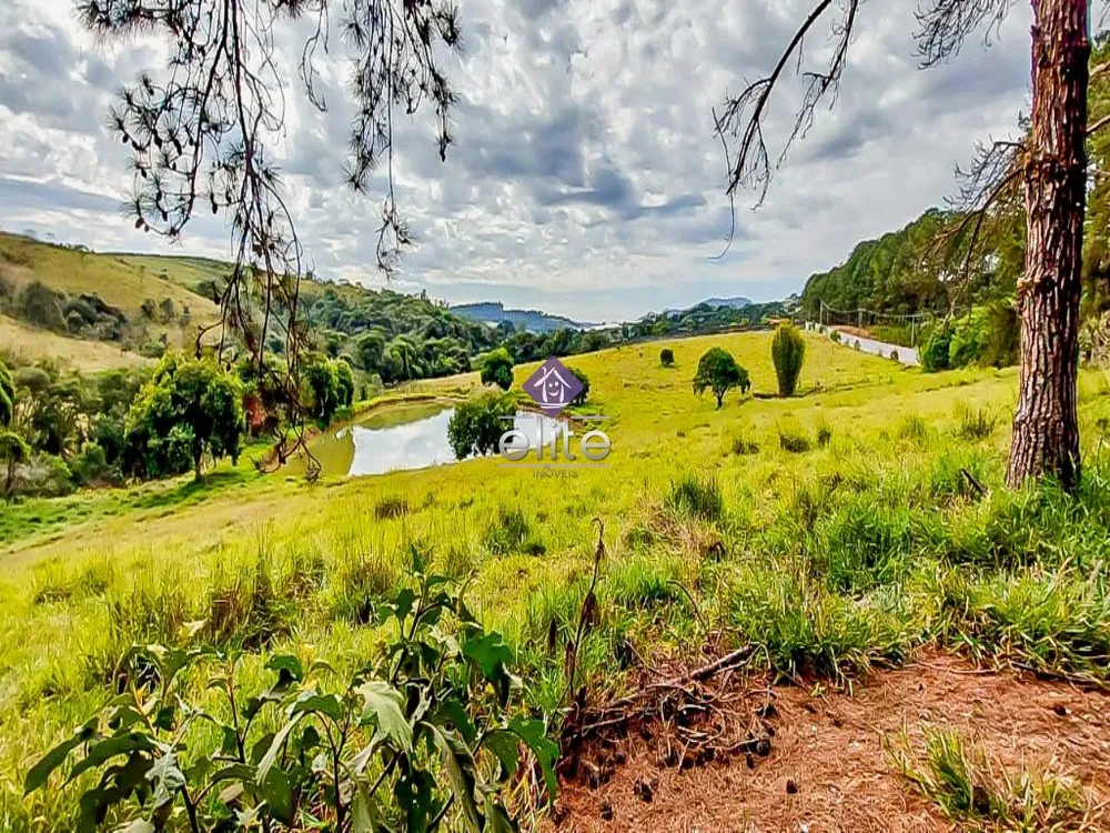 Terreno - Foto 4