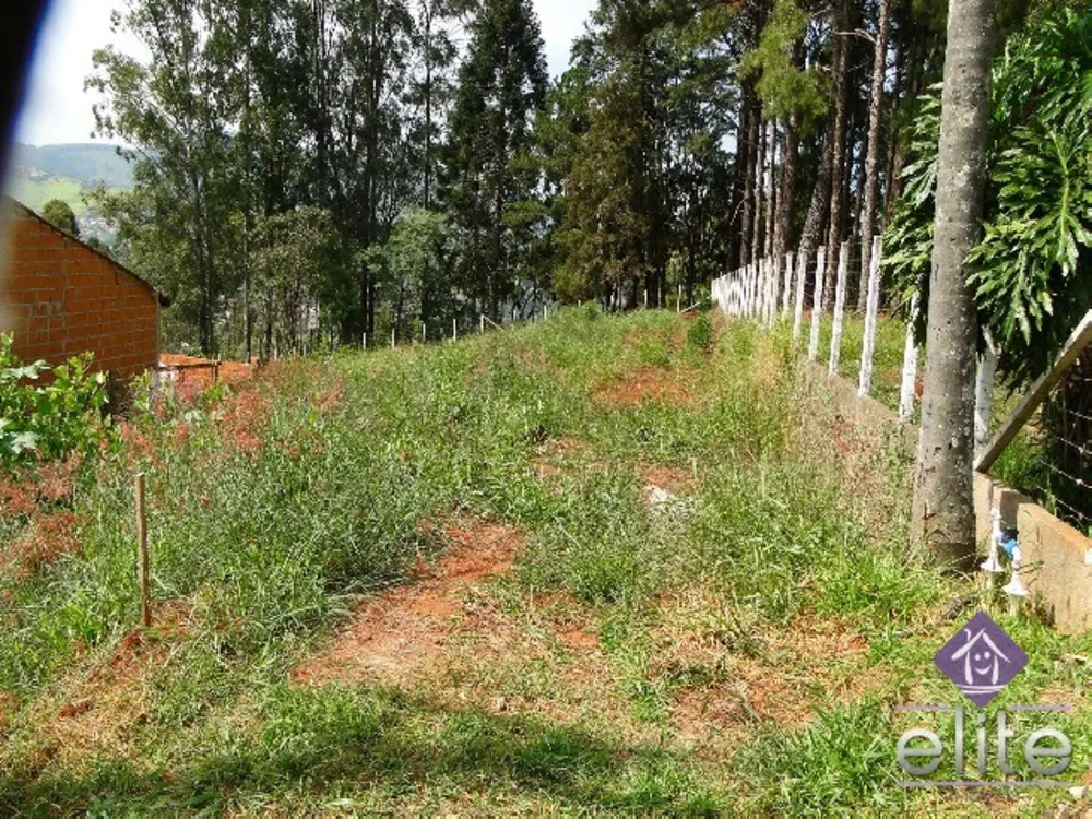 Terreno, 1196 m² - Foto 2