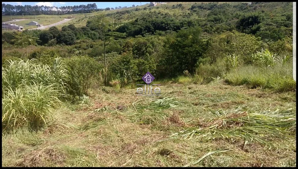 Terreno, 219 m² - Foto 2