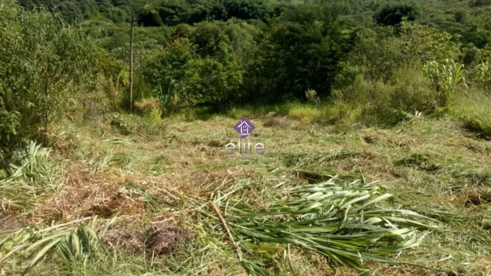 Terreno, 219 m² - Foto 3