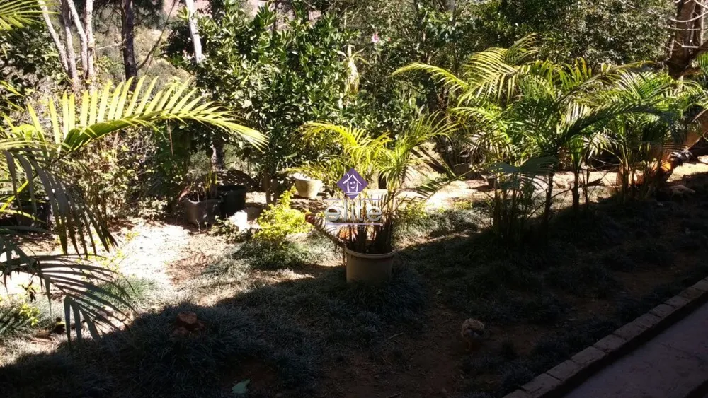 Chácara, 3 quartos, 3 hectares - Foto 4