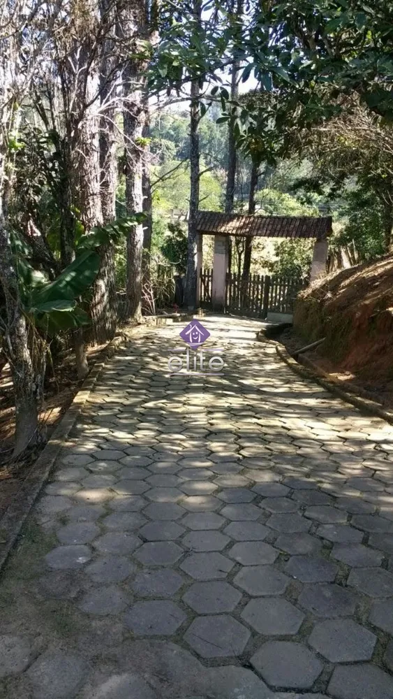 Chácara, 3 quartos, 3 hectares - Foto 3