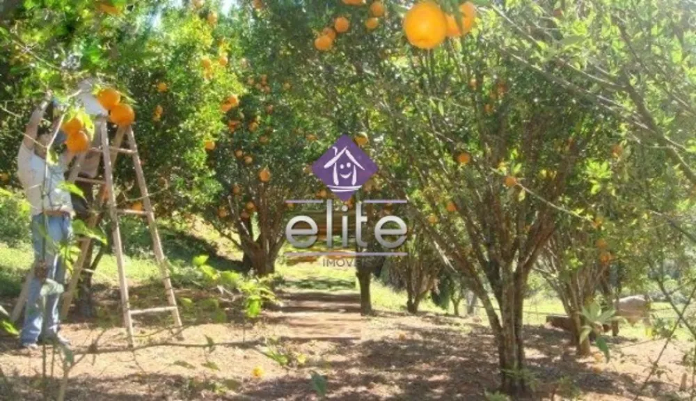Sítio, 4 quartos, 290 m² - Foto 3