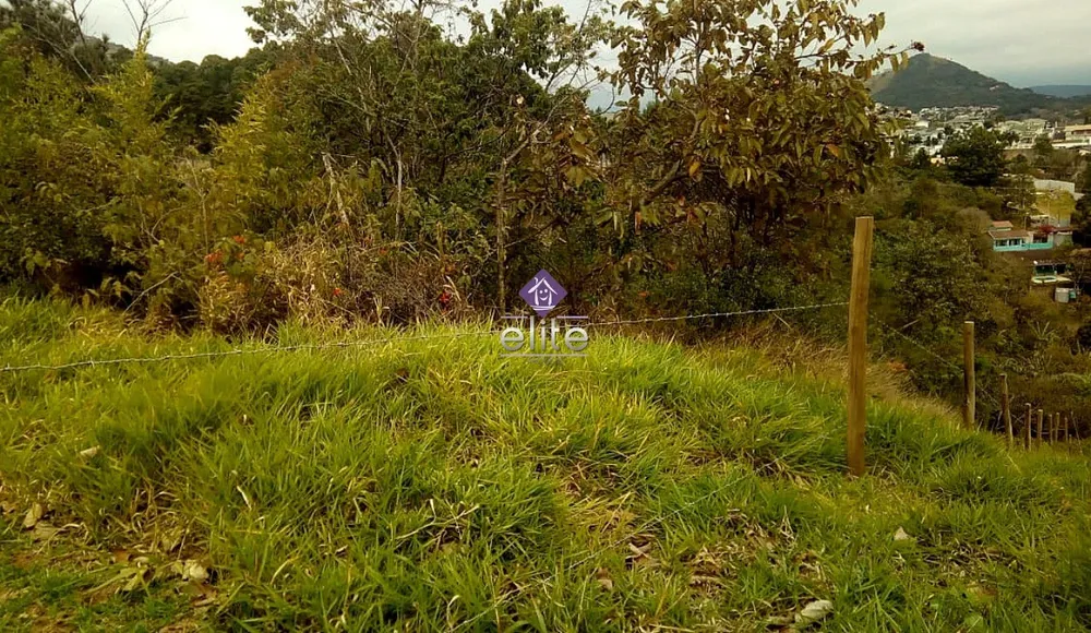 Terreno, 1516 m² - Foto 2