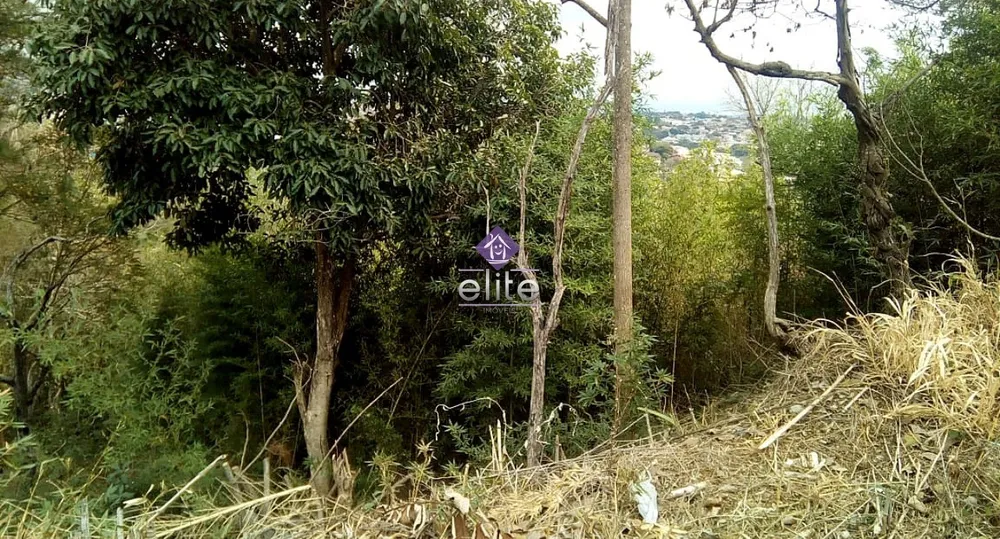 Terreno, 1516 m² - Foto 3