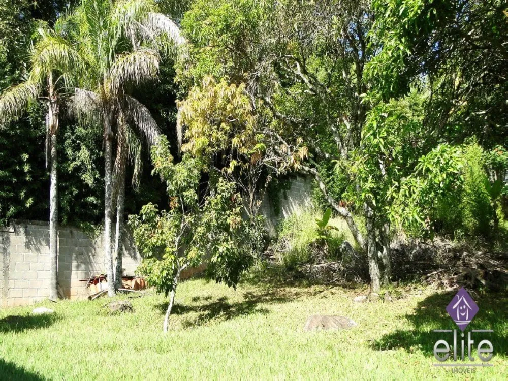 Casa, 4 quartos, 500 m² - Foto 3