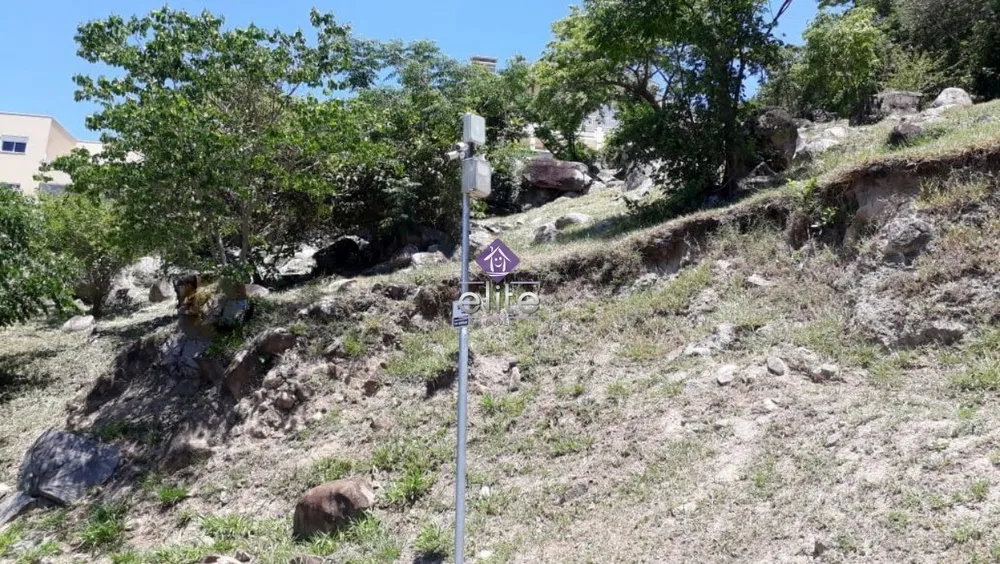 Terreno, 980 m² - Foto 4