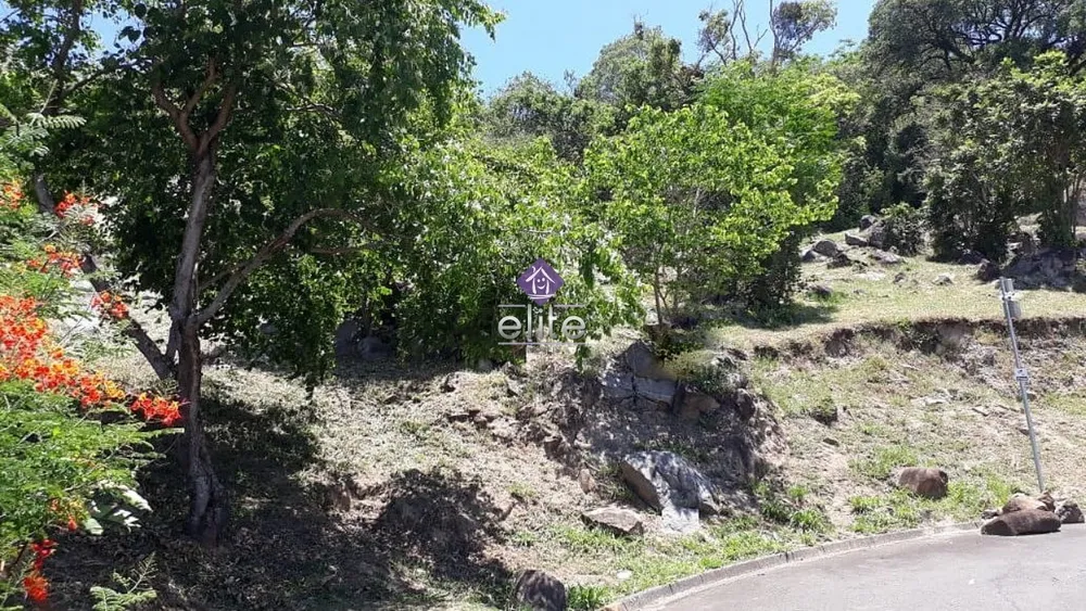 Terreno, 980 m² - Foto 2