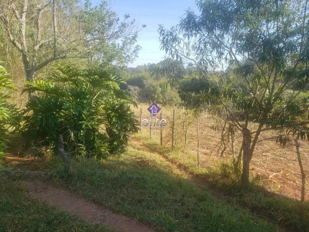 Terreno, 28185 m² - Foto 4