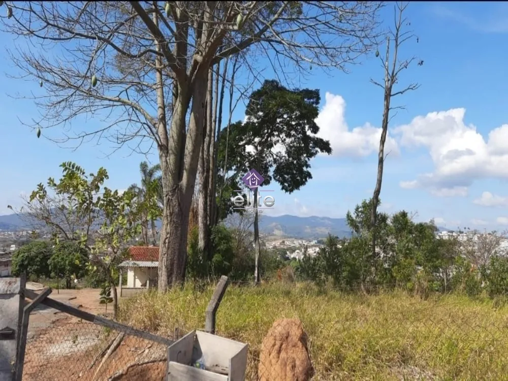 Terreno - Foto 4