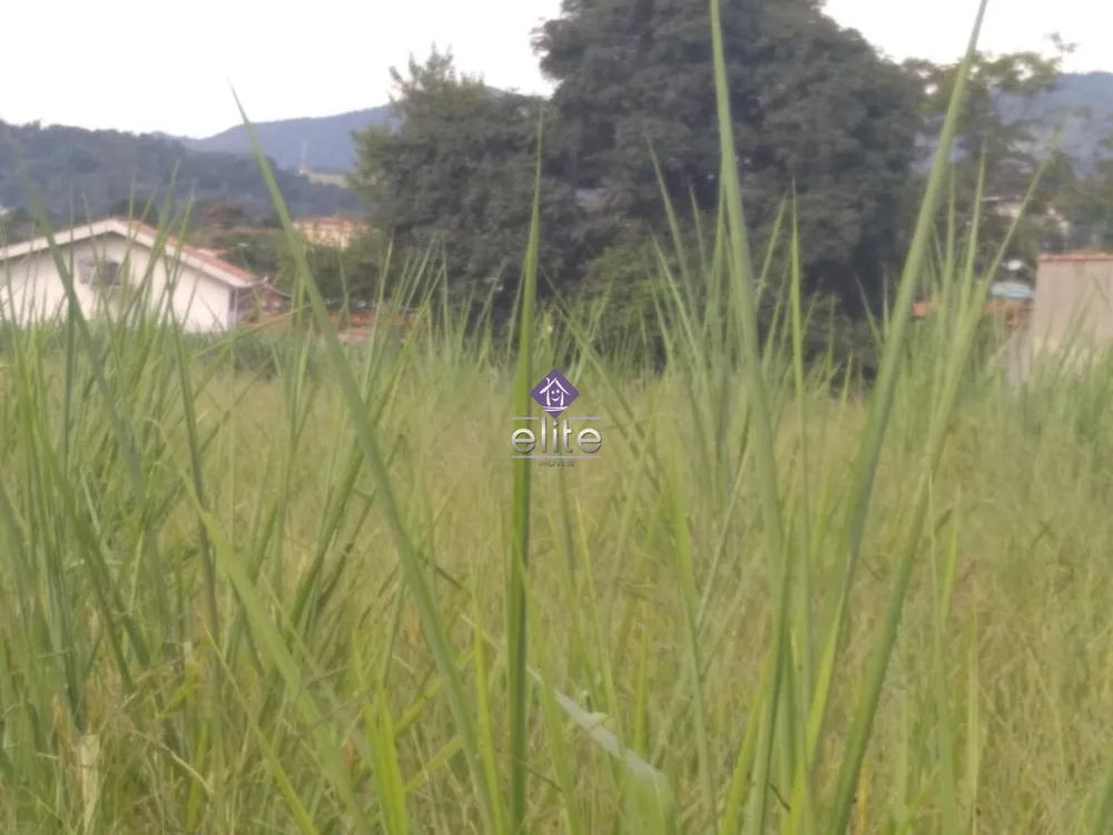 Terreno, 2000 m² - Foto 4