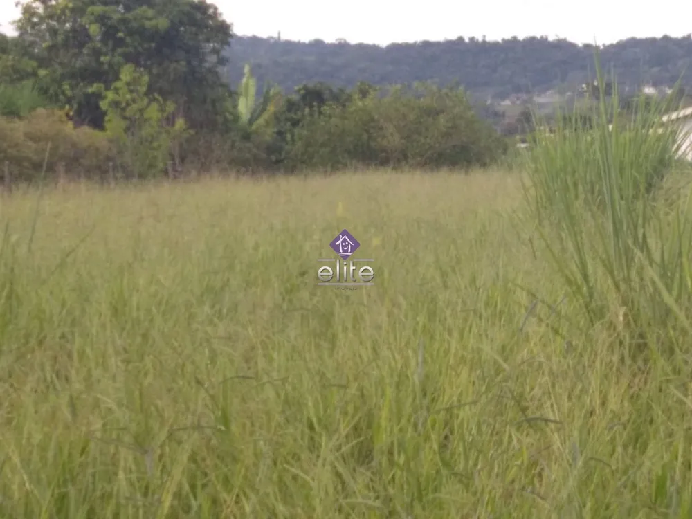 Terreno, 2000 m² - Foto 2