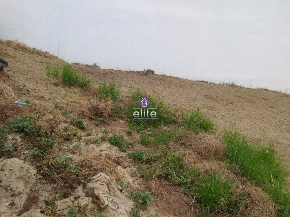 Terreno, 603 m² - Foto 3