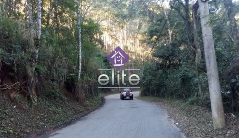 Terreno - Foto 4